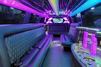 Colorado Springs Limo Interior